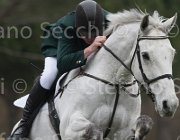 Campbell Catch Me TosTour 2013- S4 6846 : Arezzo Equestrian Centre, Campbell Gerard, Catch Me, Toscana Tour 2013, foto di Stefano Secchi ©